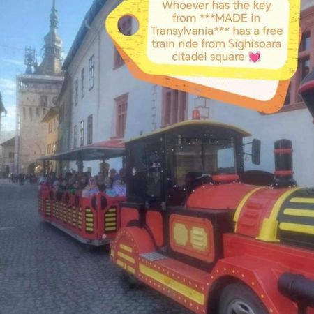 Made In Transilvania シギショアラ エクステリア 写真