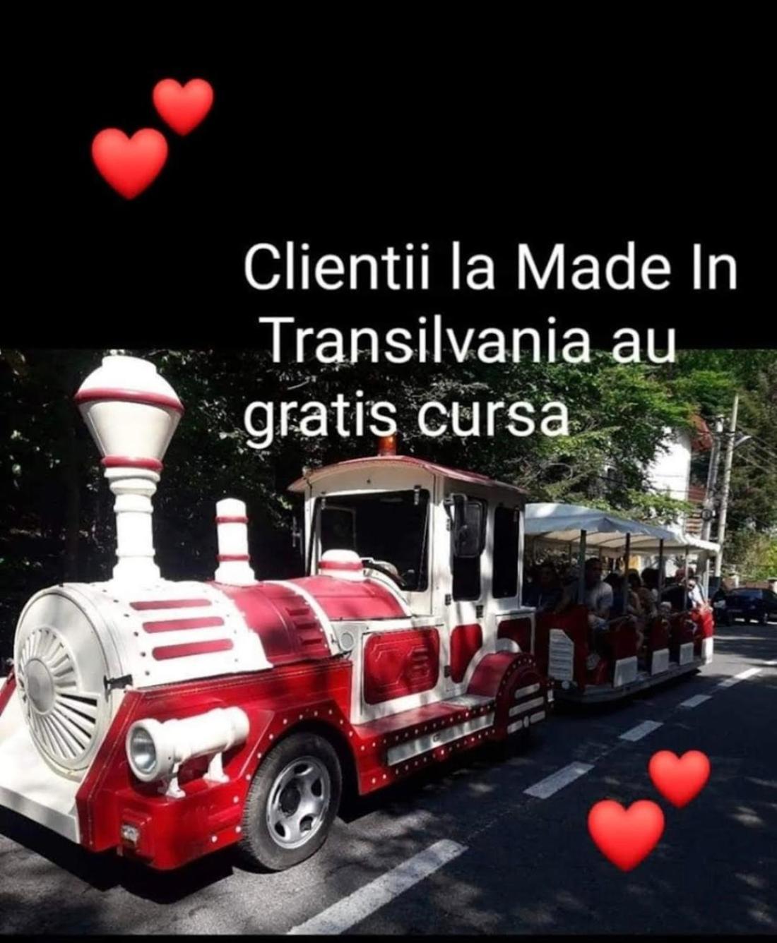 Made In Transilvania シギショアラ エクステリア 写真